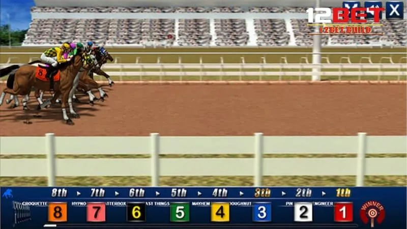 Những điểm nổi bật của đua ngựa xèng