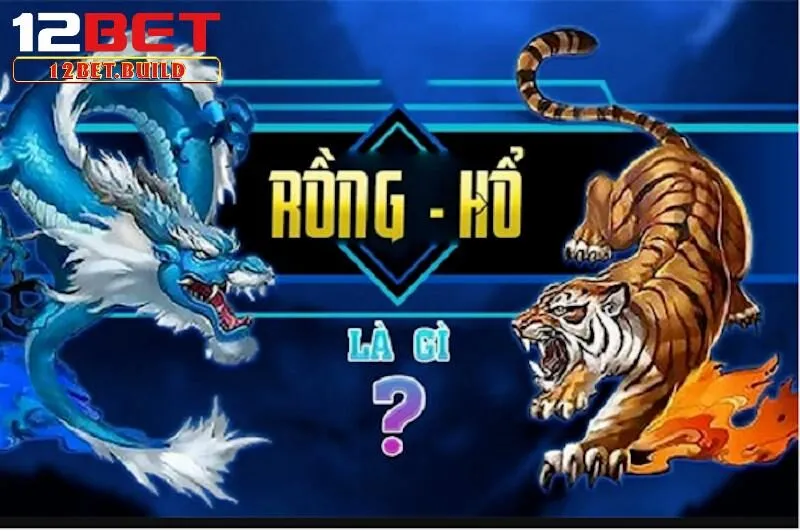 Các thuật ngữ đơn giản cần biết của rồng hổ 12bet